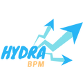 Hydra BPM Logo